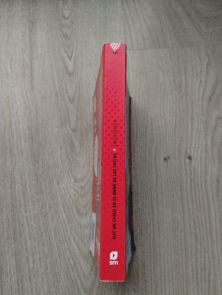 Libro "Hay un chico en el baño de las...