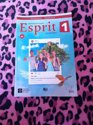 libro esprit 1 livre de l'eleve
