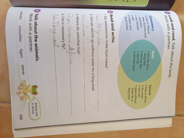 Libro cuaderno National Geographic Our World 2