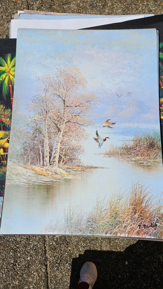 20 poster soggetto lago