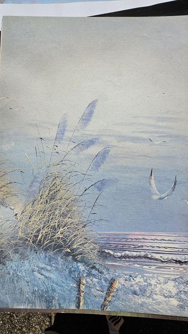 20 poster soggetto lago