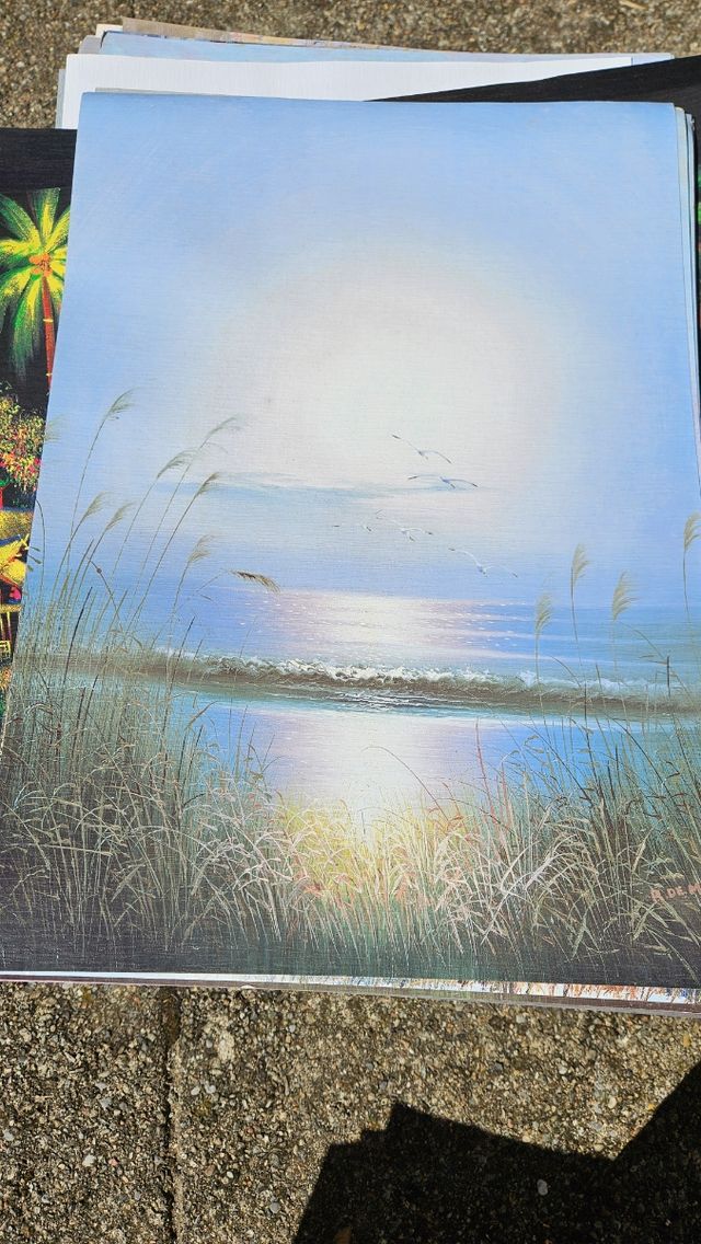 20 poster soggetto lago