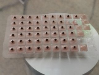 BUSCAPUNTOS ACUPUNTURA