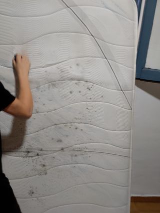 Limpieza profesional tapicería