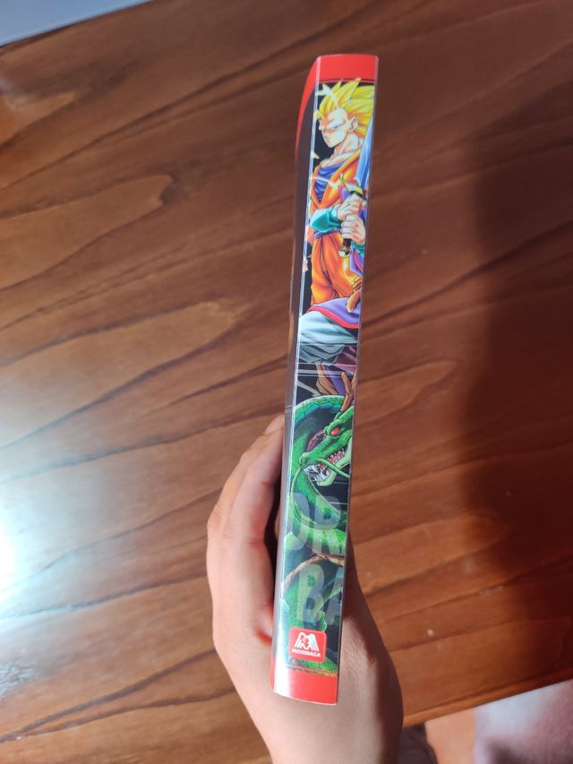 Dragon Ball Morinaga binders
