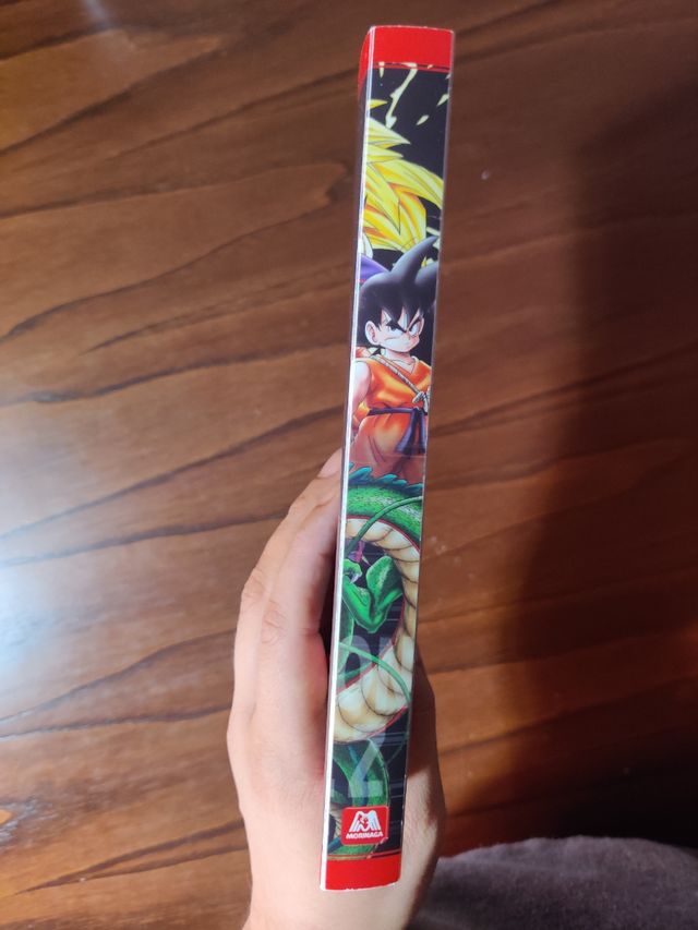 Dragon Ball Morinaga binders