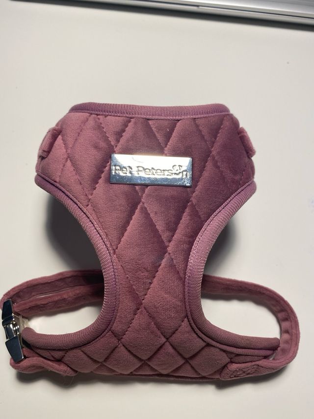 Arnes perro pequeño XS