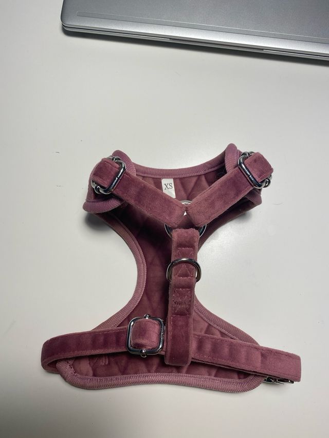 Arnes perro pequeño XS