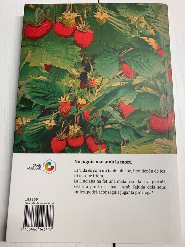 Camps de maduixes. Jordi Sierra i Fabra