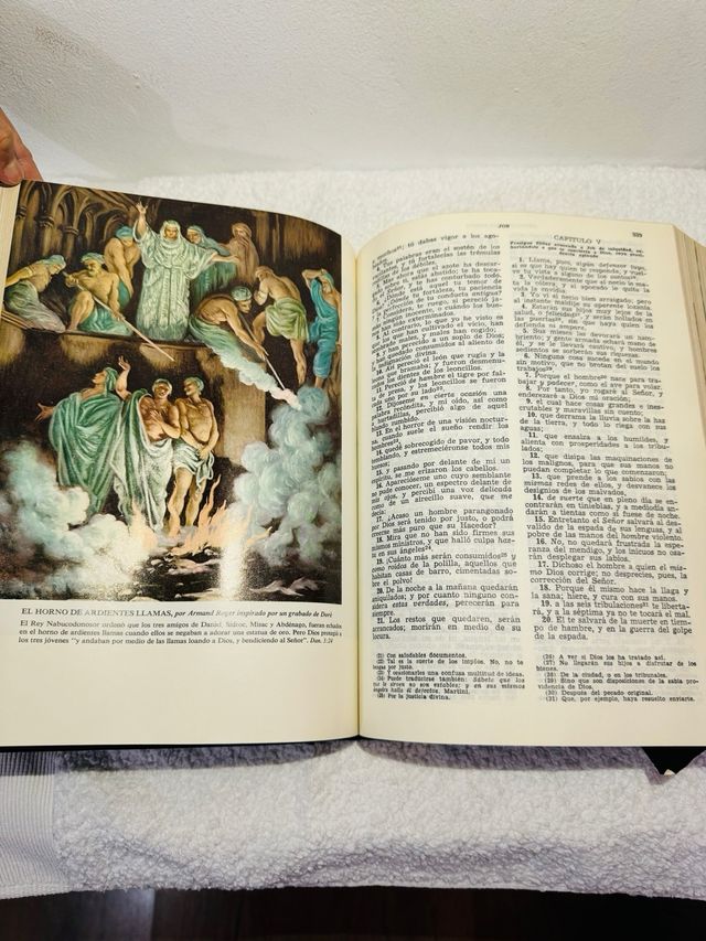 La Sagrada Biblia por Felix Torres Amat