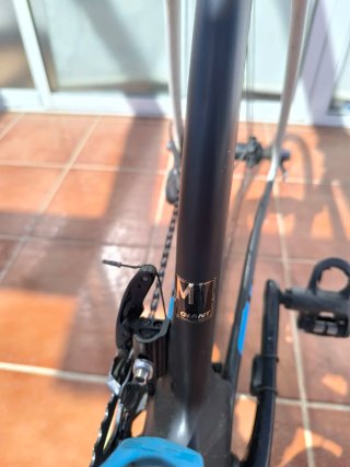 Bicicleta carbono GIANT Trinity
