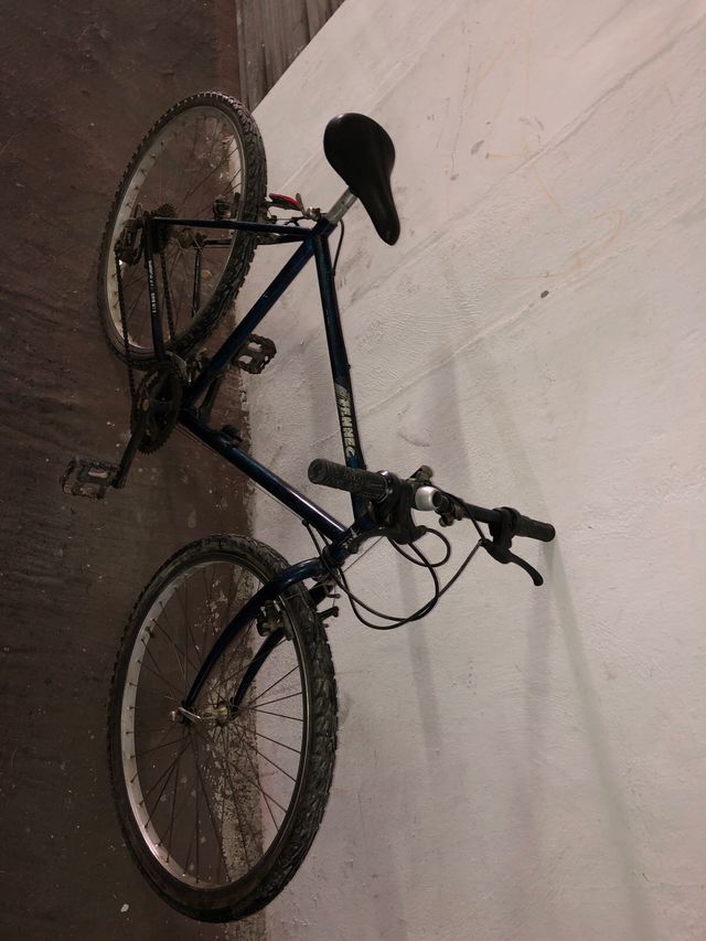 Bici fenec