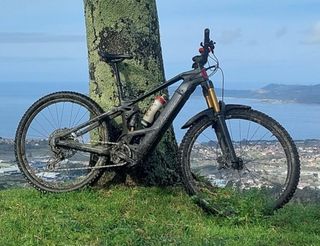 EBIKE ORBEA WILD FS M-TEAM