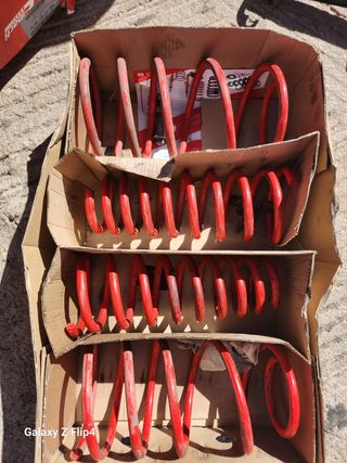 Muelles deportivos alfa
