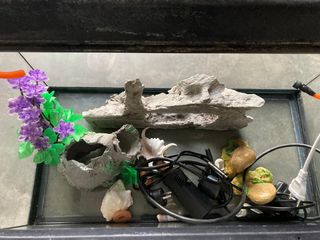 Acuario