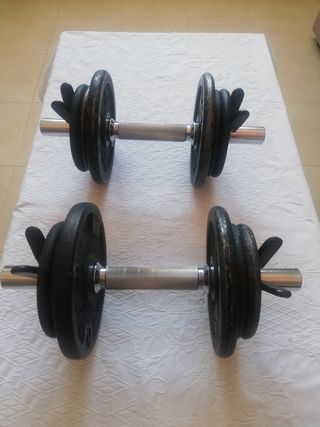 2 pesas 10 kg hierro fundido