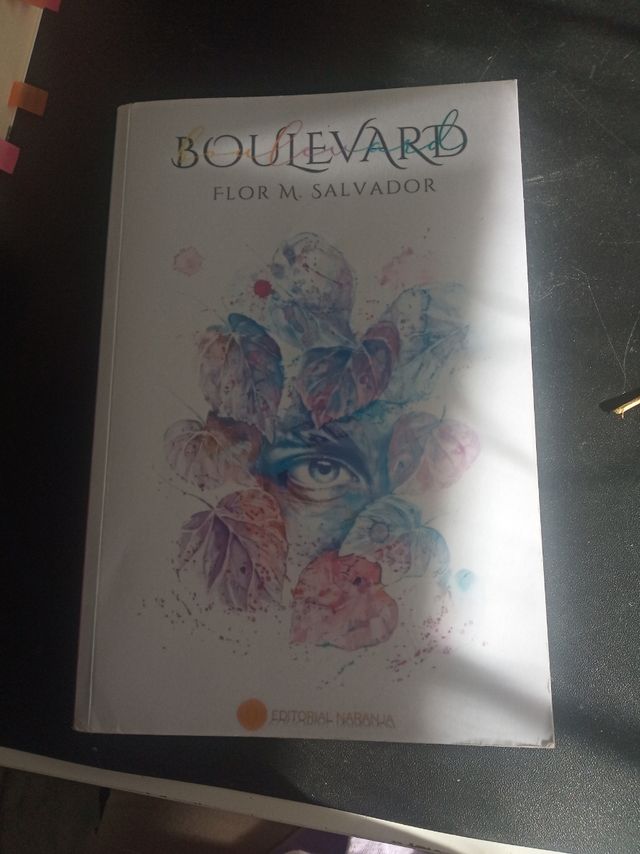 Boulevard (Spanish Edition)