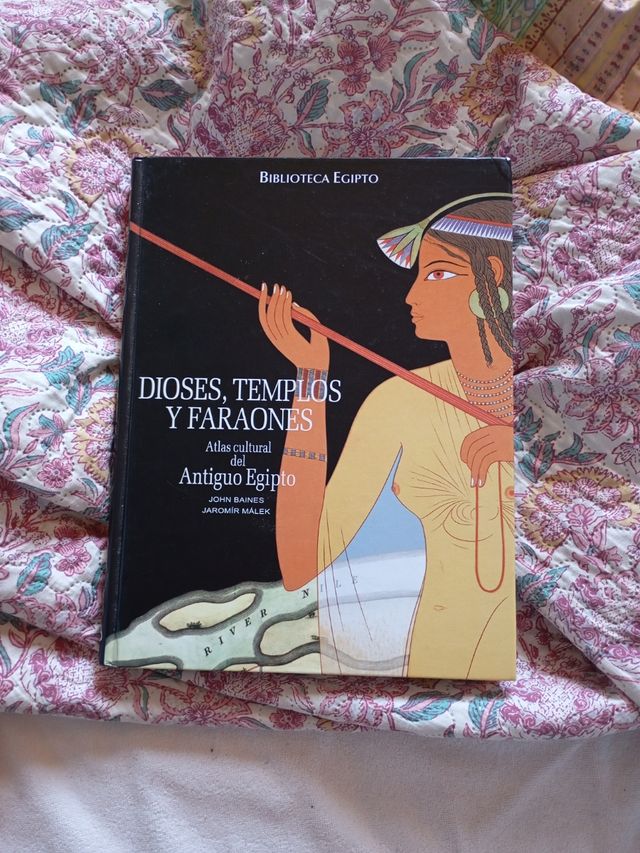 Dioses, templos y faraones (Biblioteca Egipto) (Spanish Edition)