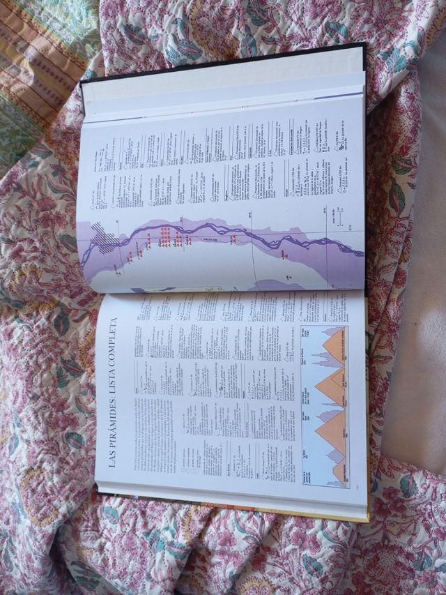 Dioses, templos y faraones (Biblioteca Egipto) (Spanish Edition)