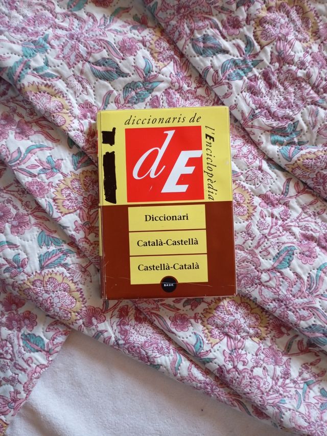 Diccionari Català-Castellà / Castellà-Català, bàsic (Diccionaris Bilingües) (Catalan Edition)