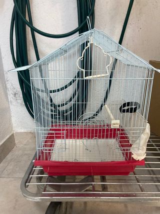 Jaula pájaro