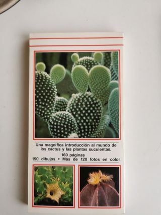 Planta de interior + Cactus