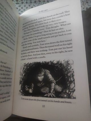 Libro The D'aventures of Tom Sawyer