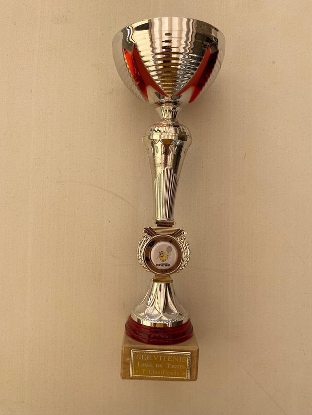 Trofeo 29x10 cm
