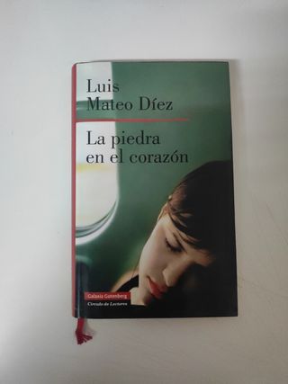 La piedra en el corazón