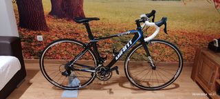 GIANT TCR Fibra de Carbono