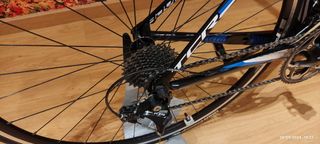 GIANT TCR Fibra de Carbono
