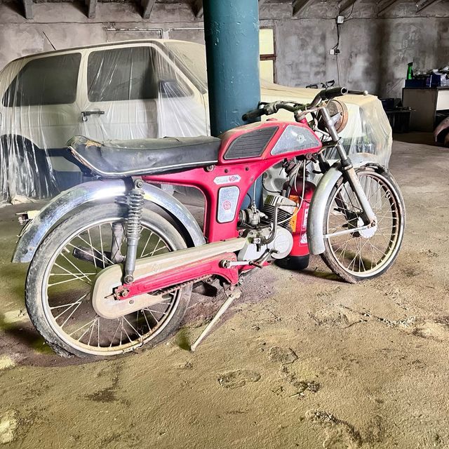 Torrot tiburon
