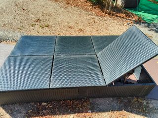 Tumbona convertible, cojín, ratán Vidaxl