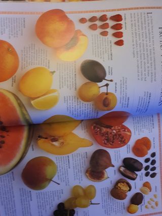 La Cocina Mediterránea  Clásica Sarah Woodward