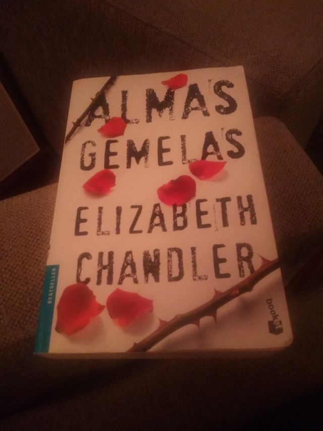 Libro "Almas gemelas"