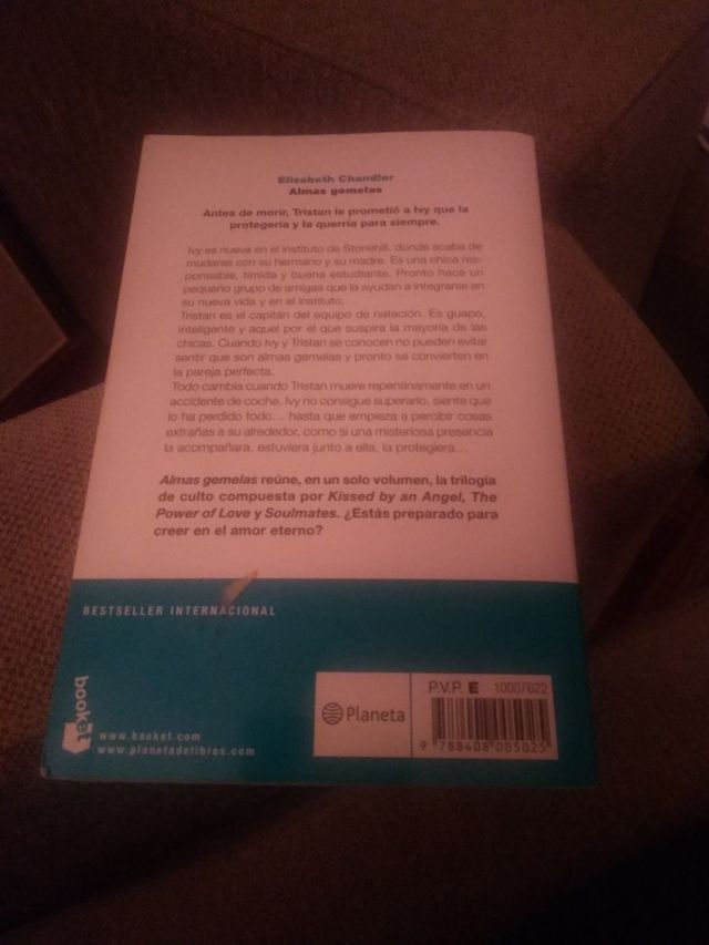 Libro "Almas gemelas"