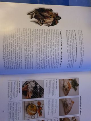 El libro de Oro de la Cocina Española