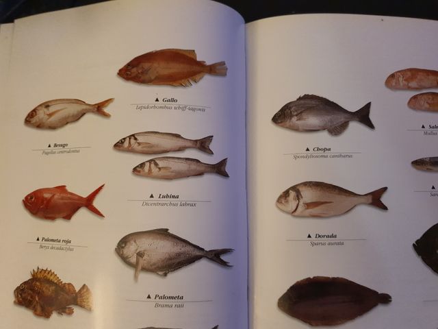 El libro de Oro de la Cocina Española