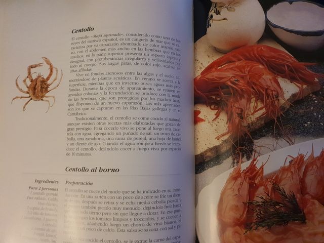 El libro de Oro de la Cocina Española