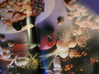 El libro de Oro de la Cocina Española