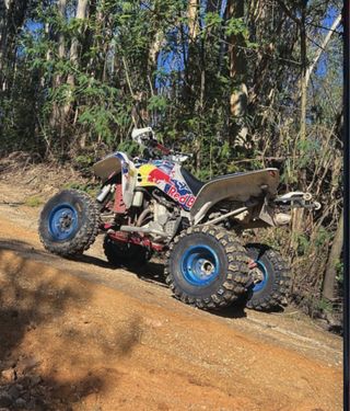 Quad ltz