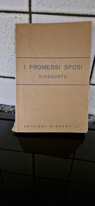 I promessi sposi - Riassunto