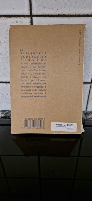 I promessi sposi - Riassunto