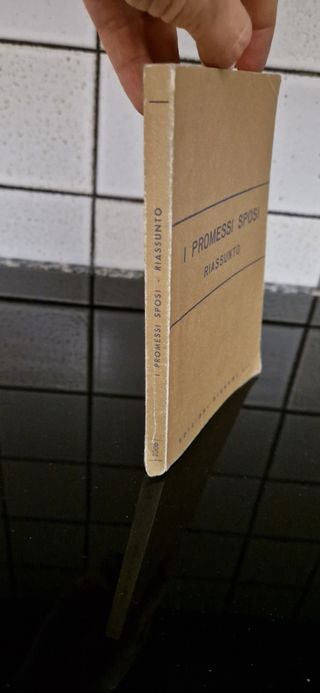 I promessi sposi - Riassunto