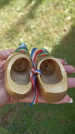 Zoccoli olandesi in miniatura