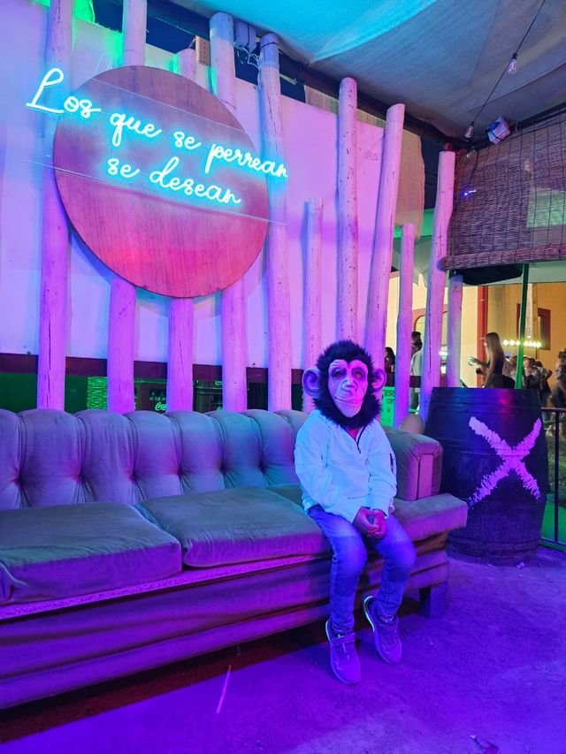 Alquiler/venta leds y sofá