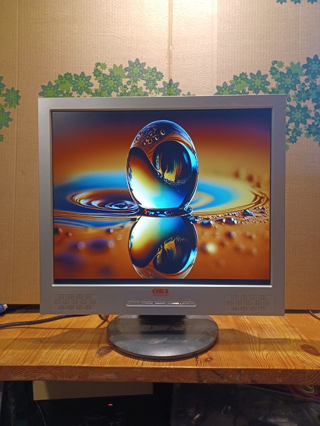 Monitor 19" OKI 1901 19"