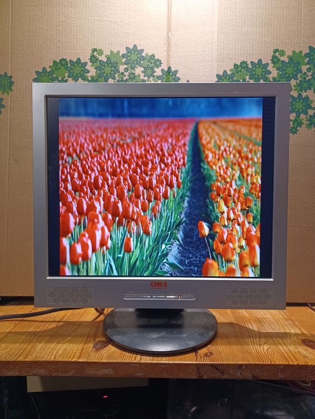 Monitor 19" OKI 1901 19"