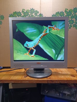 Monitor 19" OKI 1901 19"