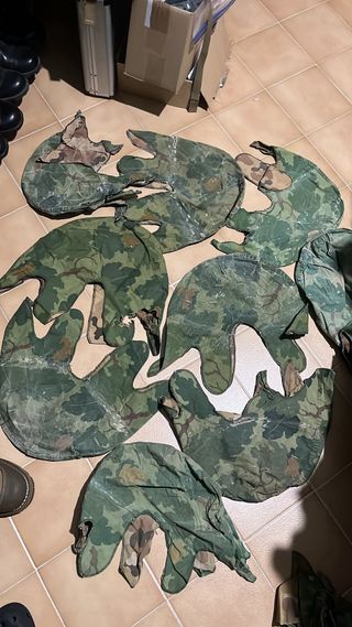 Telino mitchell cover m1